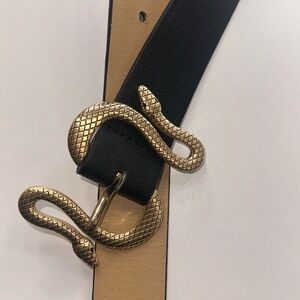 NWT Express belt